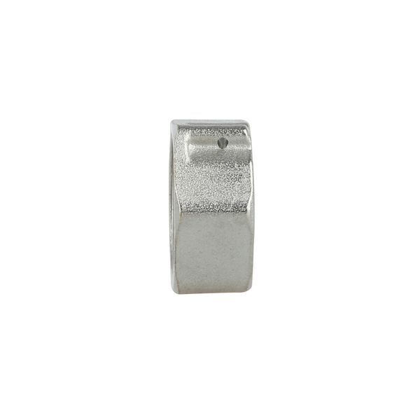 Заглушка під пломбу Forte 1/2" В нікельована SF35215 Thermo Alliance 10695 фото