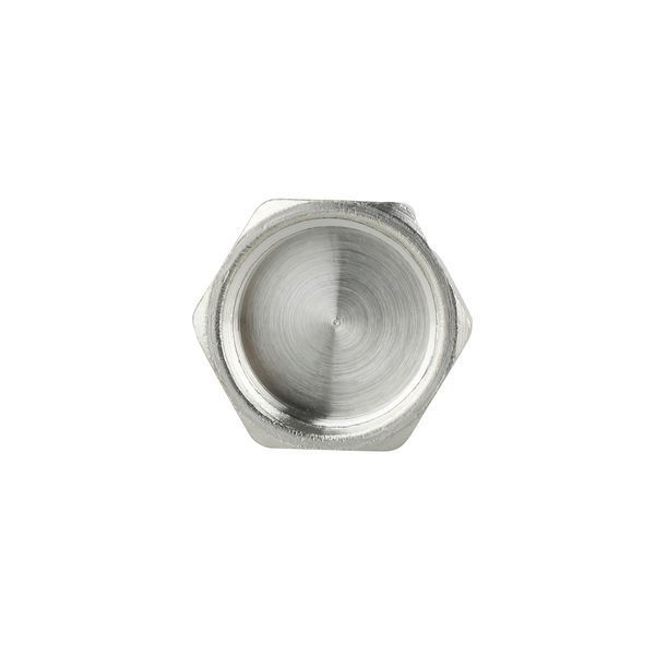 Заглушка під пломбу Forte 1/2" В нікельована SF35215 Thermo Alliance 10695 фото