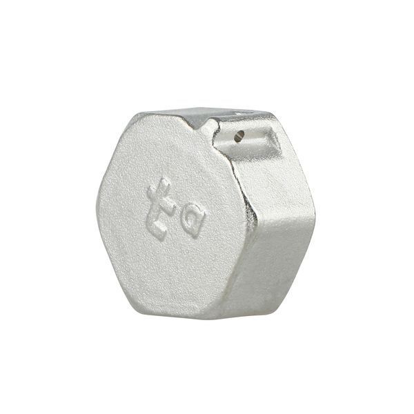 Заглушка під пломбу Forte 1/2" В нікельована SF35215 Thermo Alliance 10695 фото