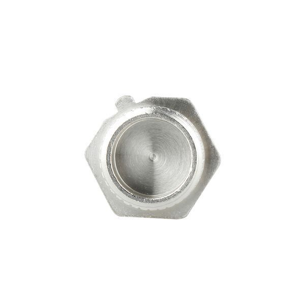 Заглушка під пломбу Forte 1/2" З нікельована SF35315 Thermo Alliance 10696 фото