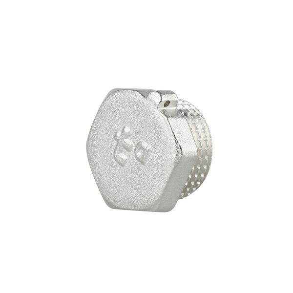 Заглушка під пломбу Forte 1/2" З нікельована SF35315 Thermo Alliance 10696 фото