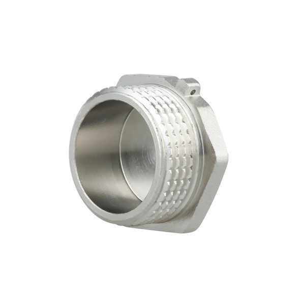 Заглушка под пломбу Forte 1" Н никелированная SF35325 Thermo Alliance 10700 фото