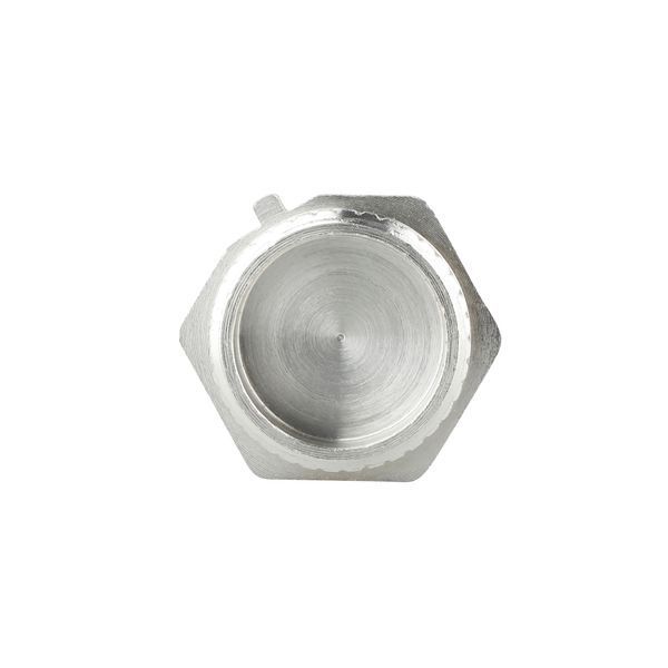 Заглушка под пломбу Forte 1" Н никелированная SF35325 Thermo Alliance 10700 фото