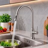 Смеситель для кухни с выдвижной лейкой Globus Lux ALPEN SBT1-2033 20281 фото