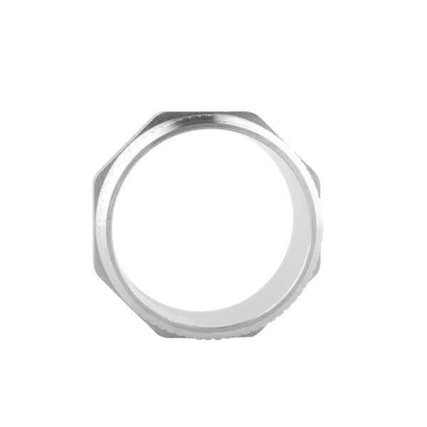 Ніпель Forte 2" ЗЗ нікельований SF35850 Thermo Alliance 10734 фото